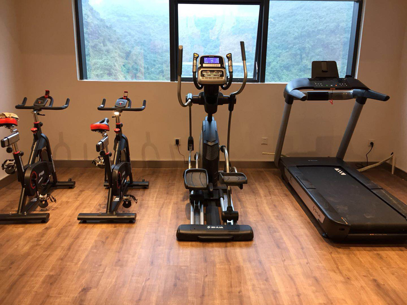 室内健身器材,单位健身器材,健身器材十大品牌-广西Z6.COM-尊龙集团体育健身器材有限公司