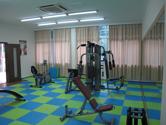 室内健身器材,单位健身器材,健身器材十大品牌-广西Z6.COM-尊龙集团体育健身器材有限公司